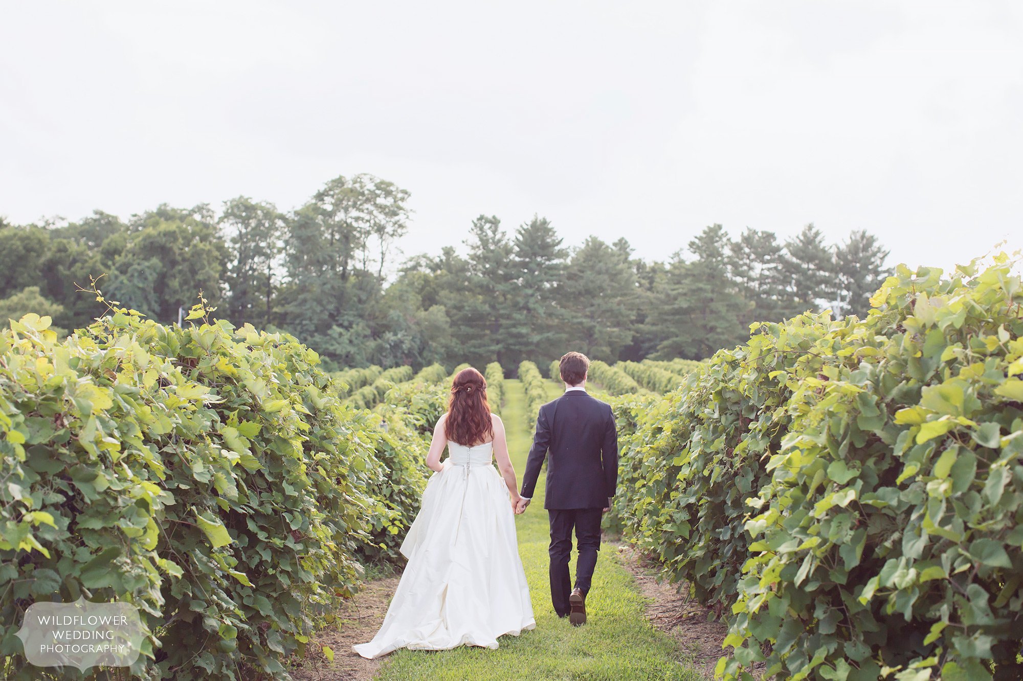 Fine art wedding photography at the Les Bourgeois Vineyard venue in Rocheport, MO.