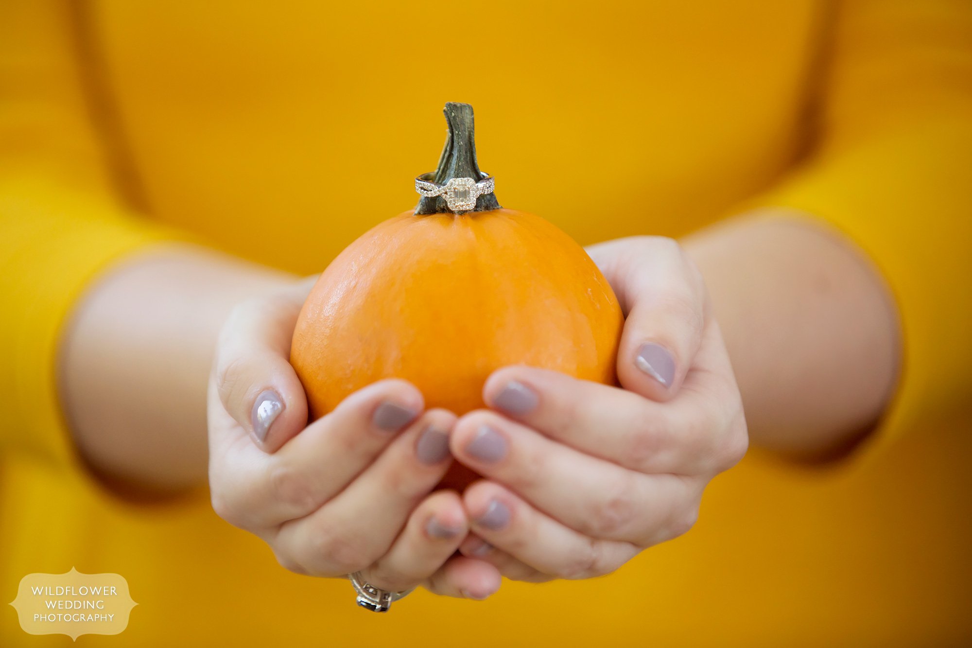 Nature engagement photography at Nifong Park in Columbia, MO of girl holding pumpkin with rings.