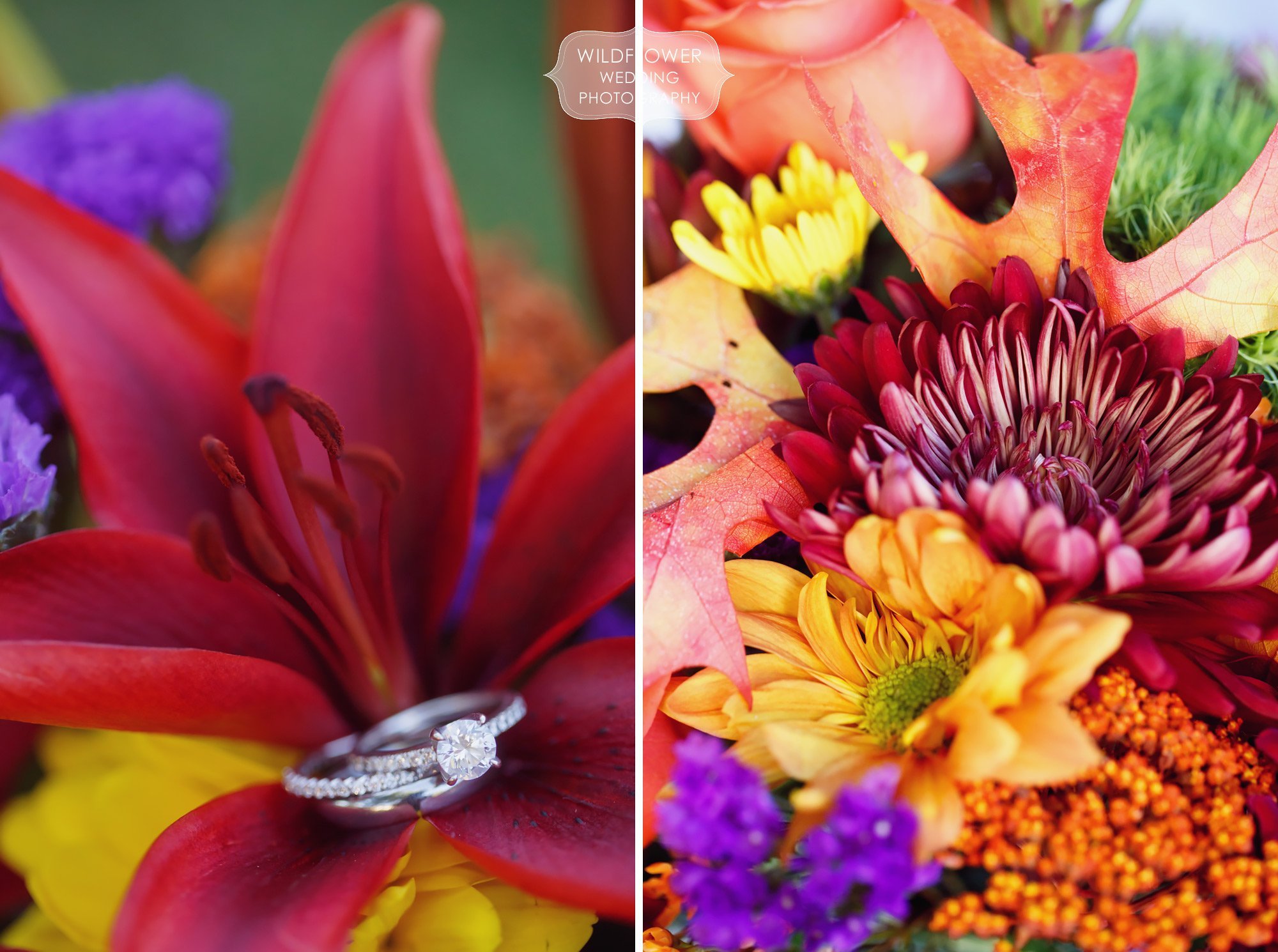 Colorful wedding rings photo with wildflowers for this backyard wedding in St. Louis.