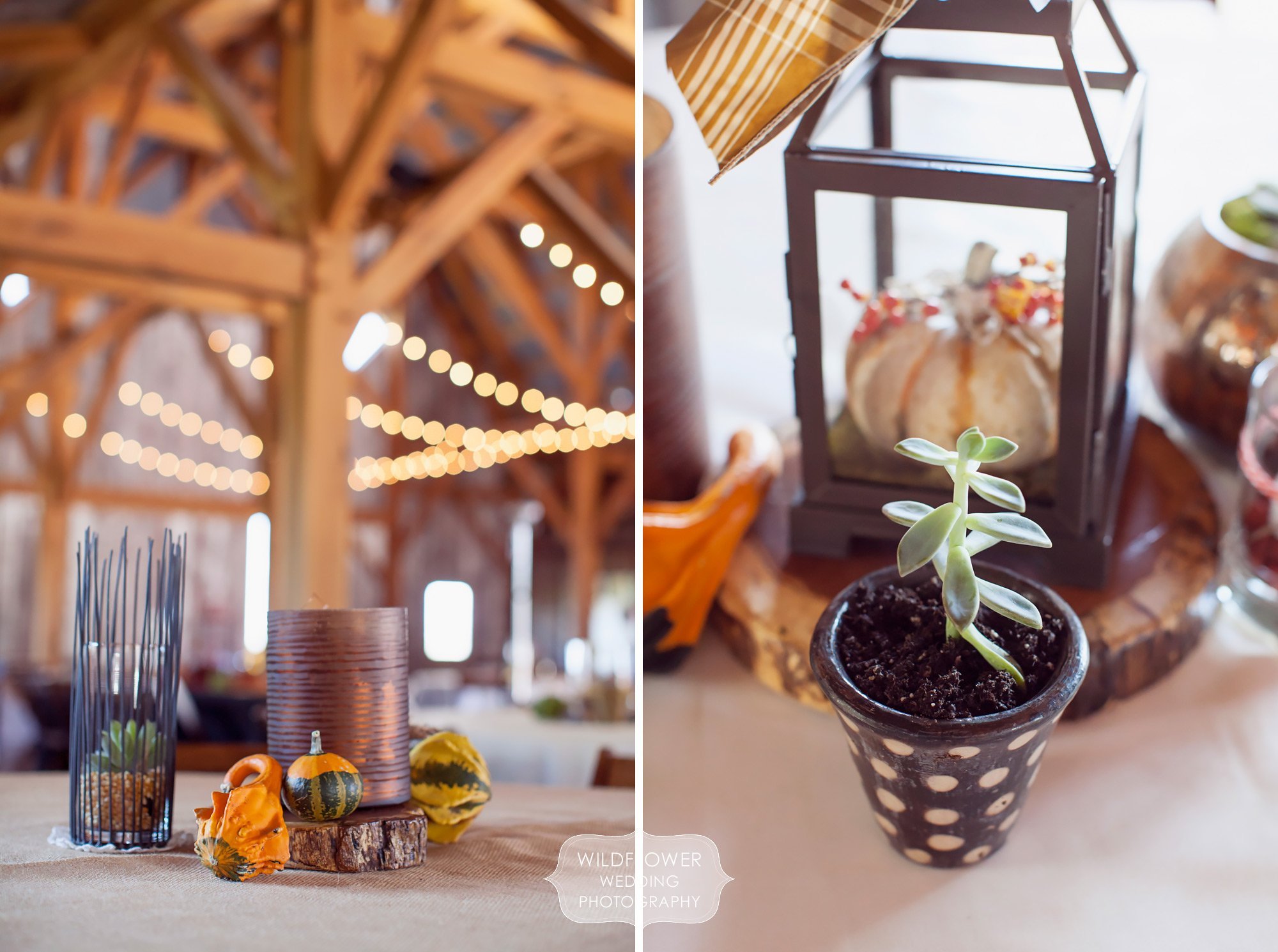 Succulent wedding centerpieces at this barn wedding in KC.