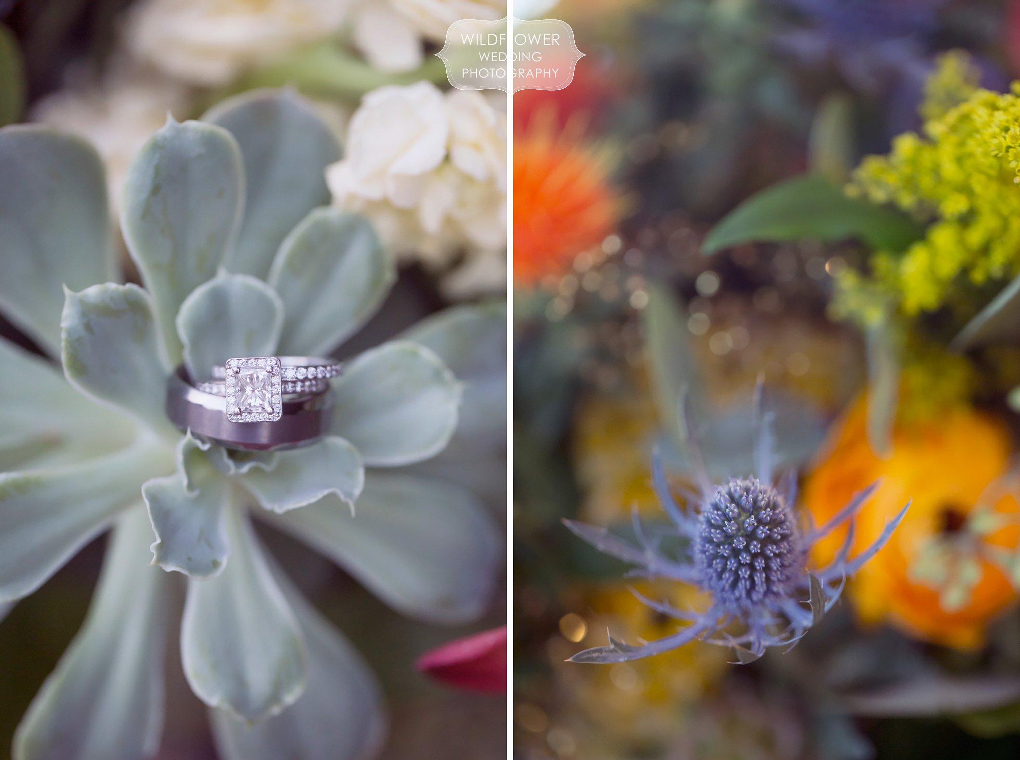 Nature inspired wedding photography with succulents and an engagement ring at the Schwinn Produce Farm.