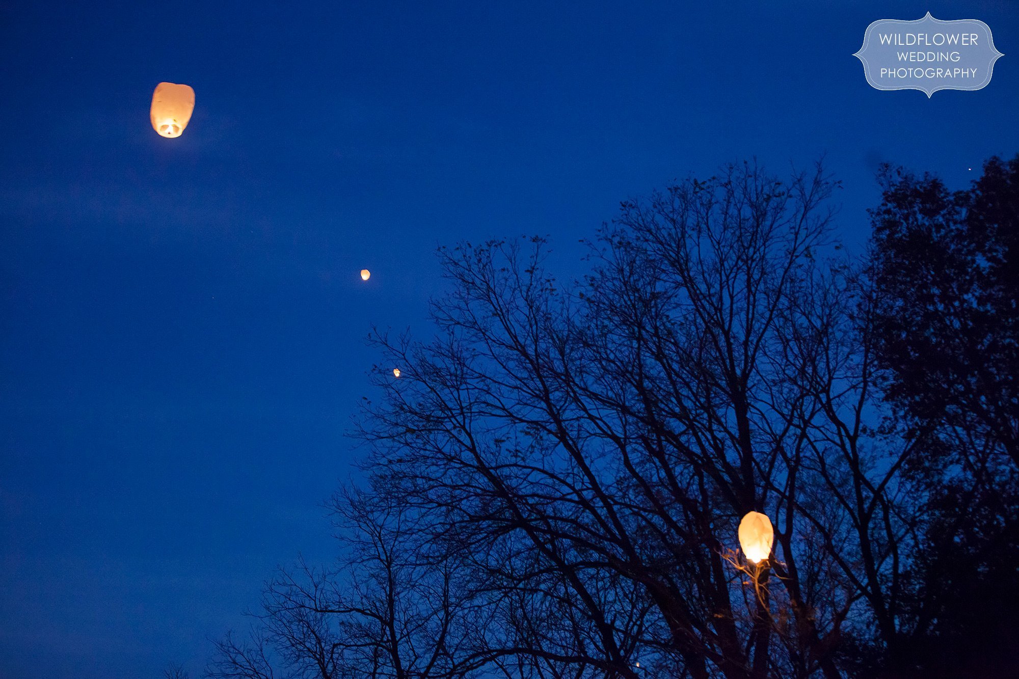 Wish lanterns in the night sky at the Schwinn Produce Farm in KS.