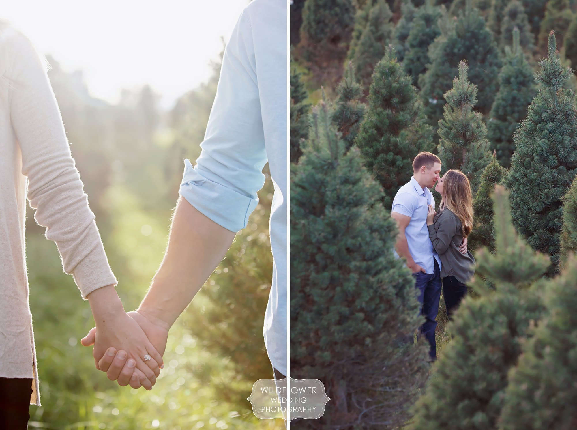 Couple holding hands among trees at the Timberview Christmas Tree Farm engagement session in MO.