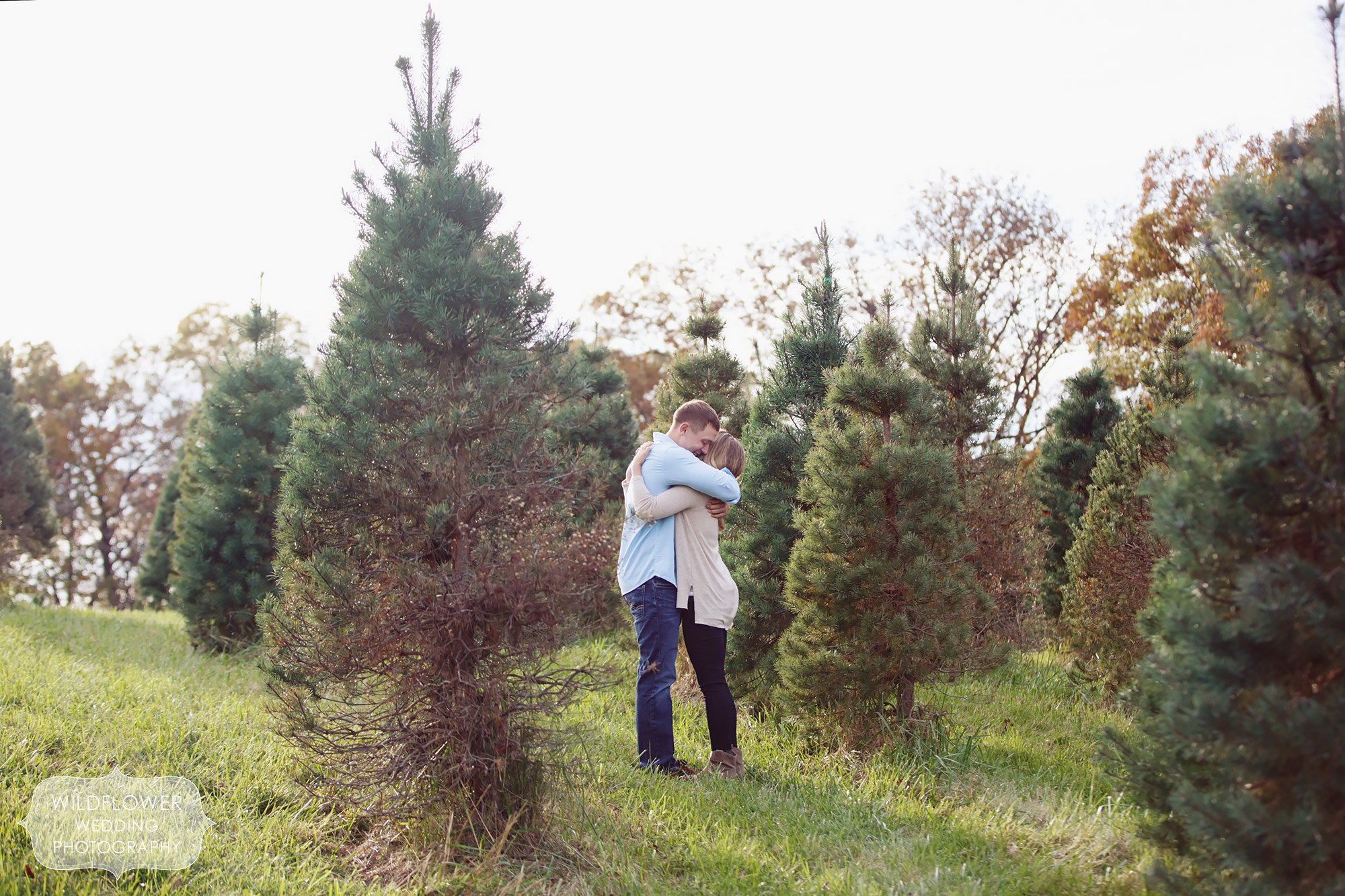 Couple hugging in the middle of the Christmas Tree Farm, Timberview, in Hartsburg, MO.