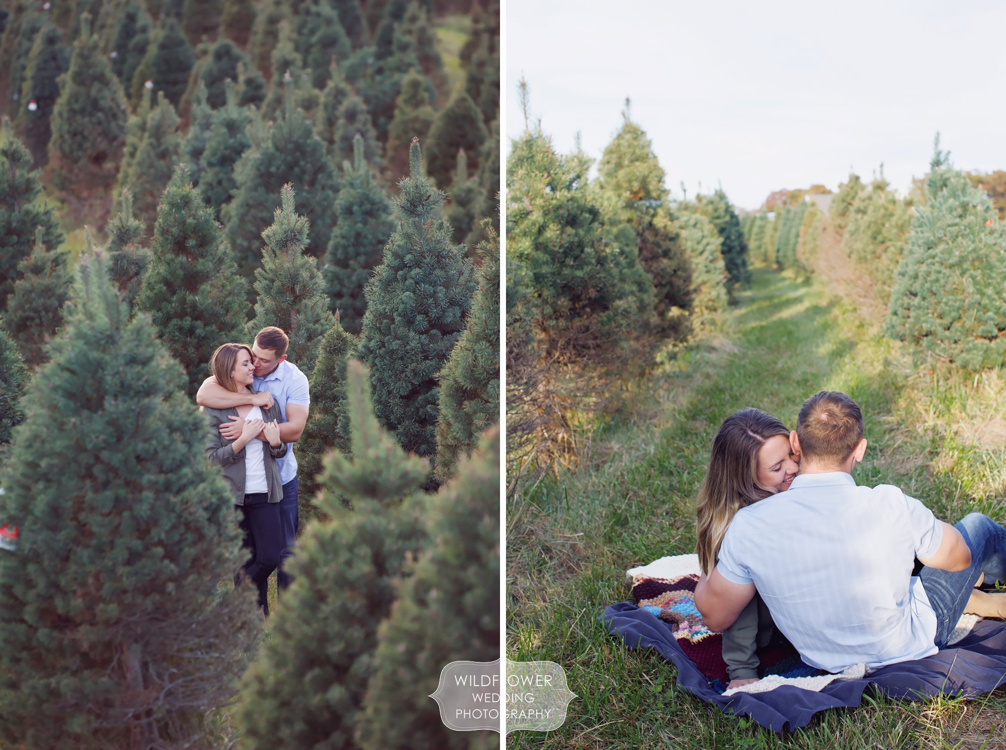 Rustic engagement photography session at the Timberview Tree Farm in Columbia, MO.