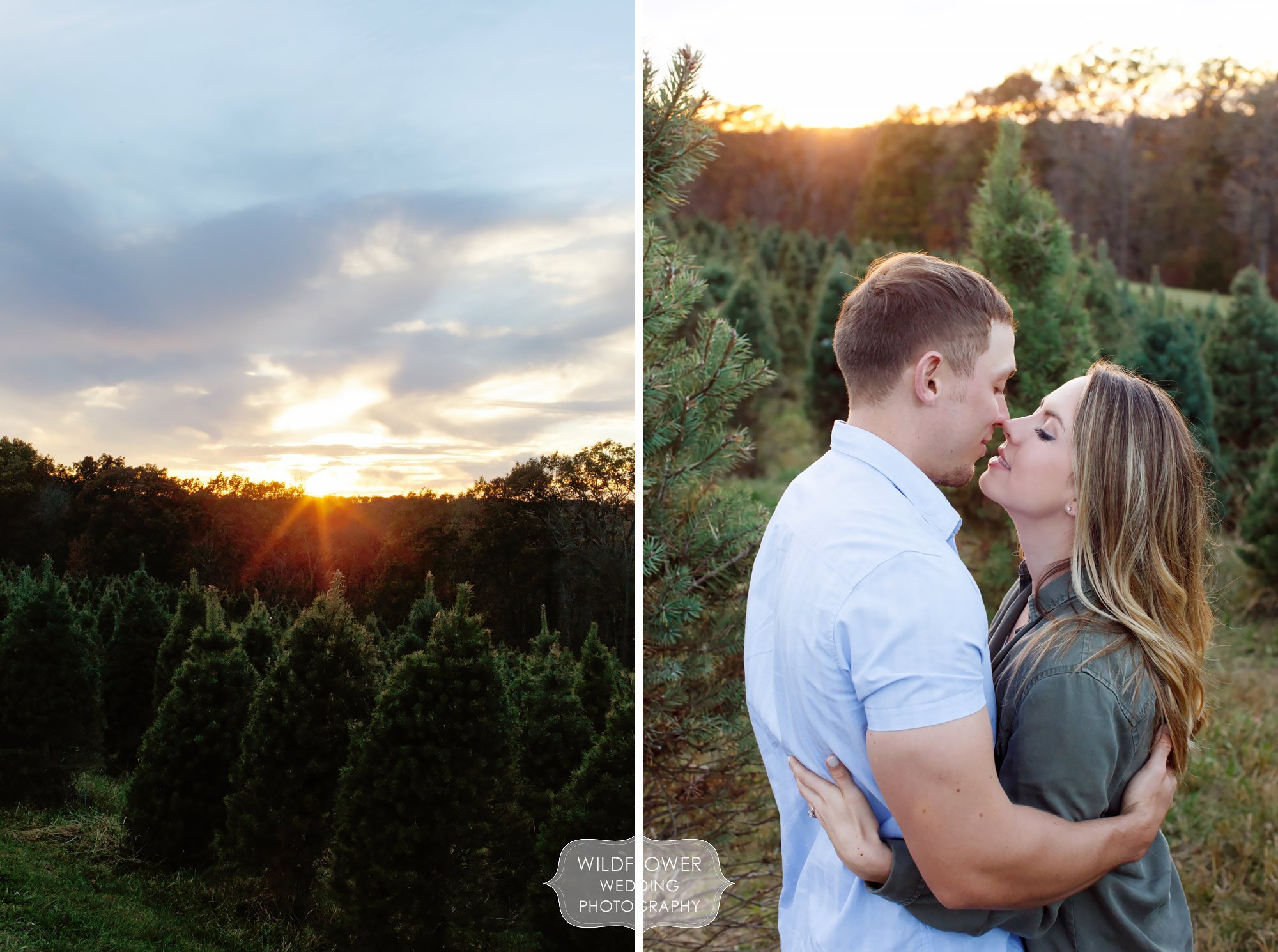 Couple kissing during their winter engagement photo session at Christmas Tree Farm.