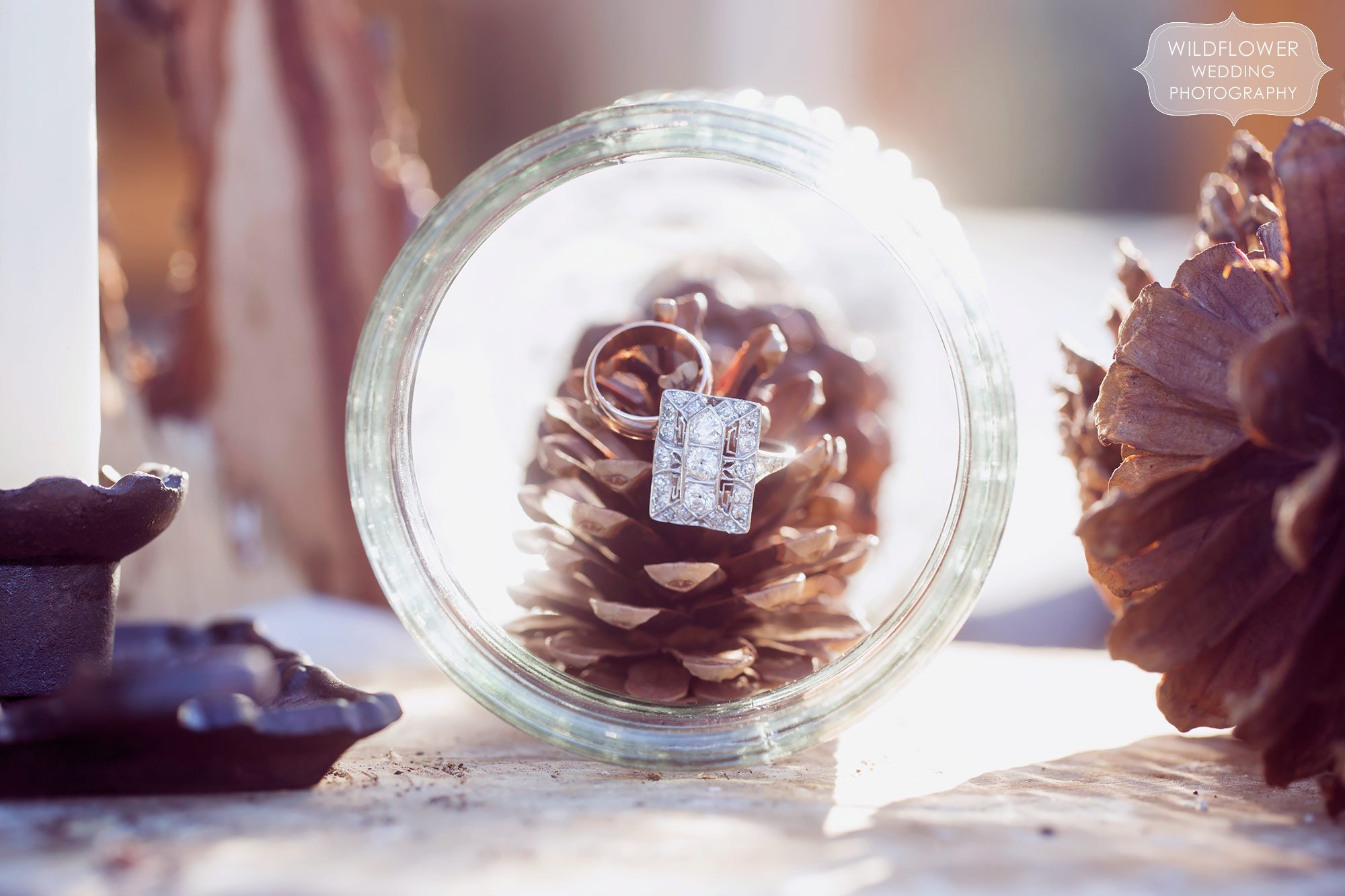 Fine art style photo of the wedding rings in an antique jar with pine cones for this January wedding.