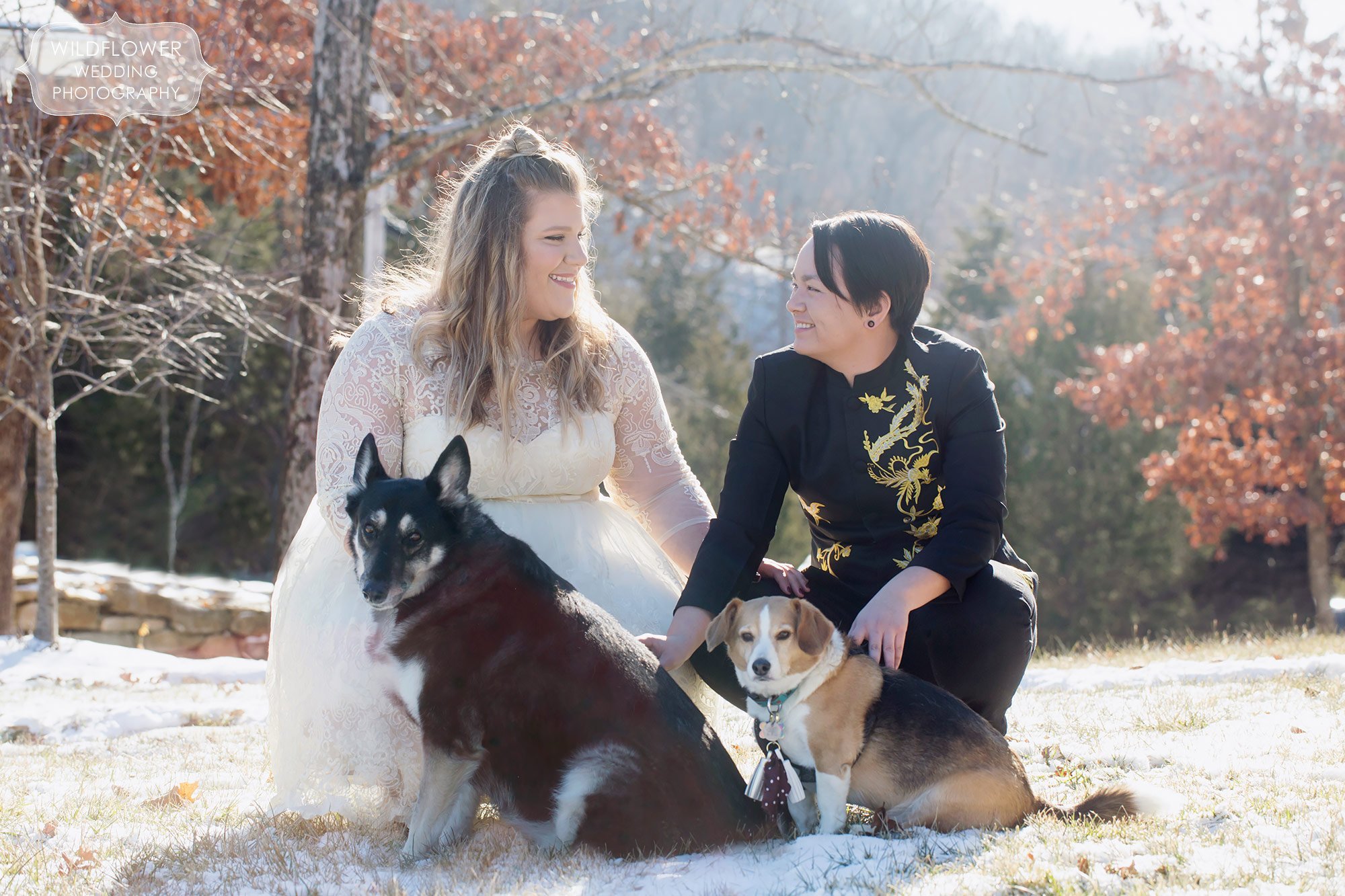 Queer couple poses with their dogs before their same sex wedding ceremony and reception.