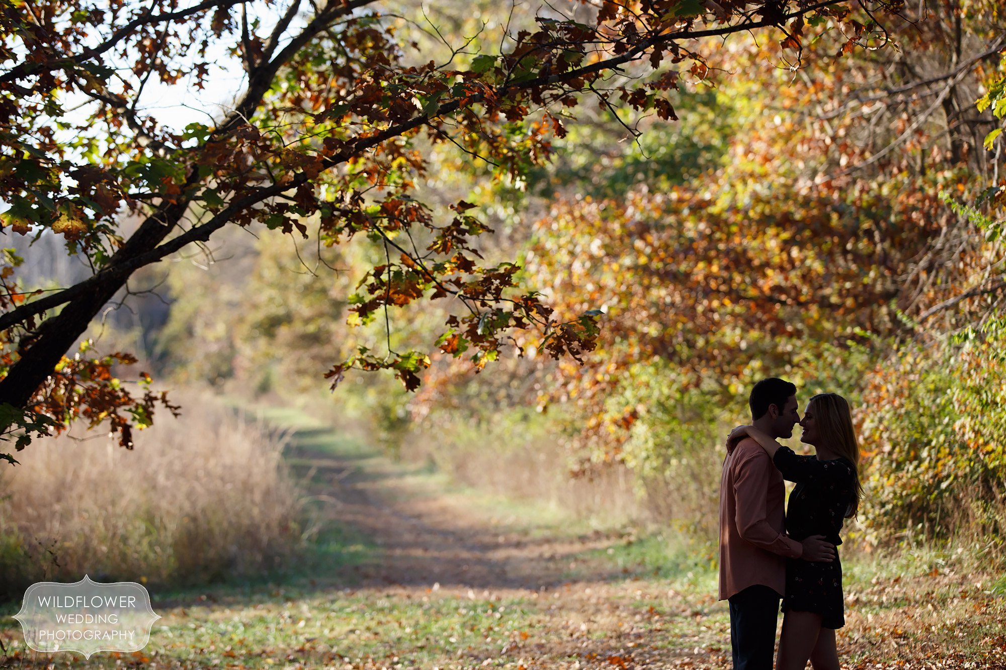 Silhouette photo of the couple almost kissing under a tree with fall colors at Grindstone Park.