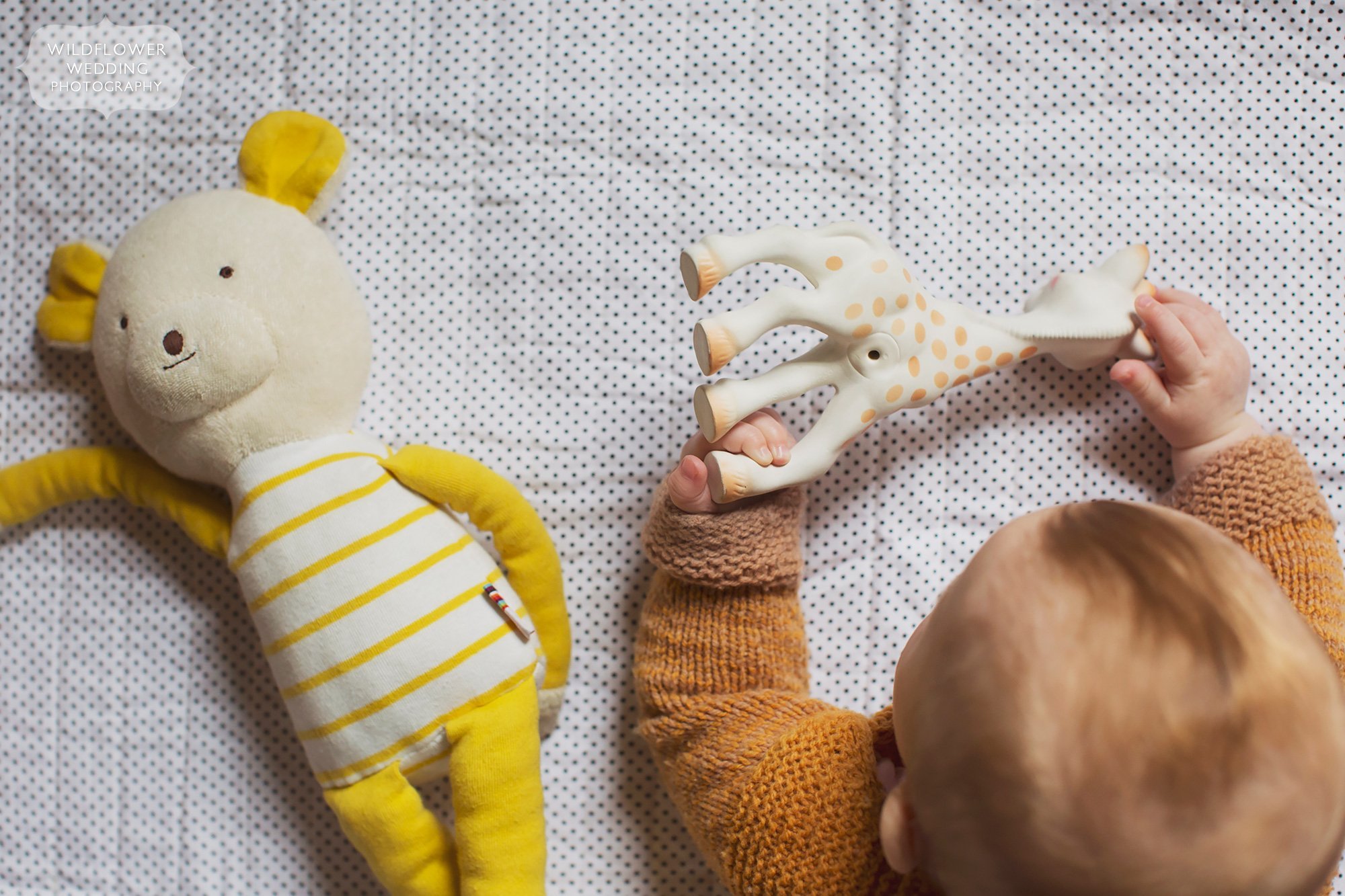 Close up photo of baby's hands holding Sophie the giraffe during an at home documentary shoot.
