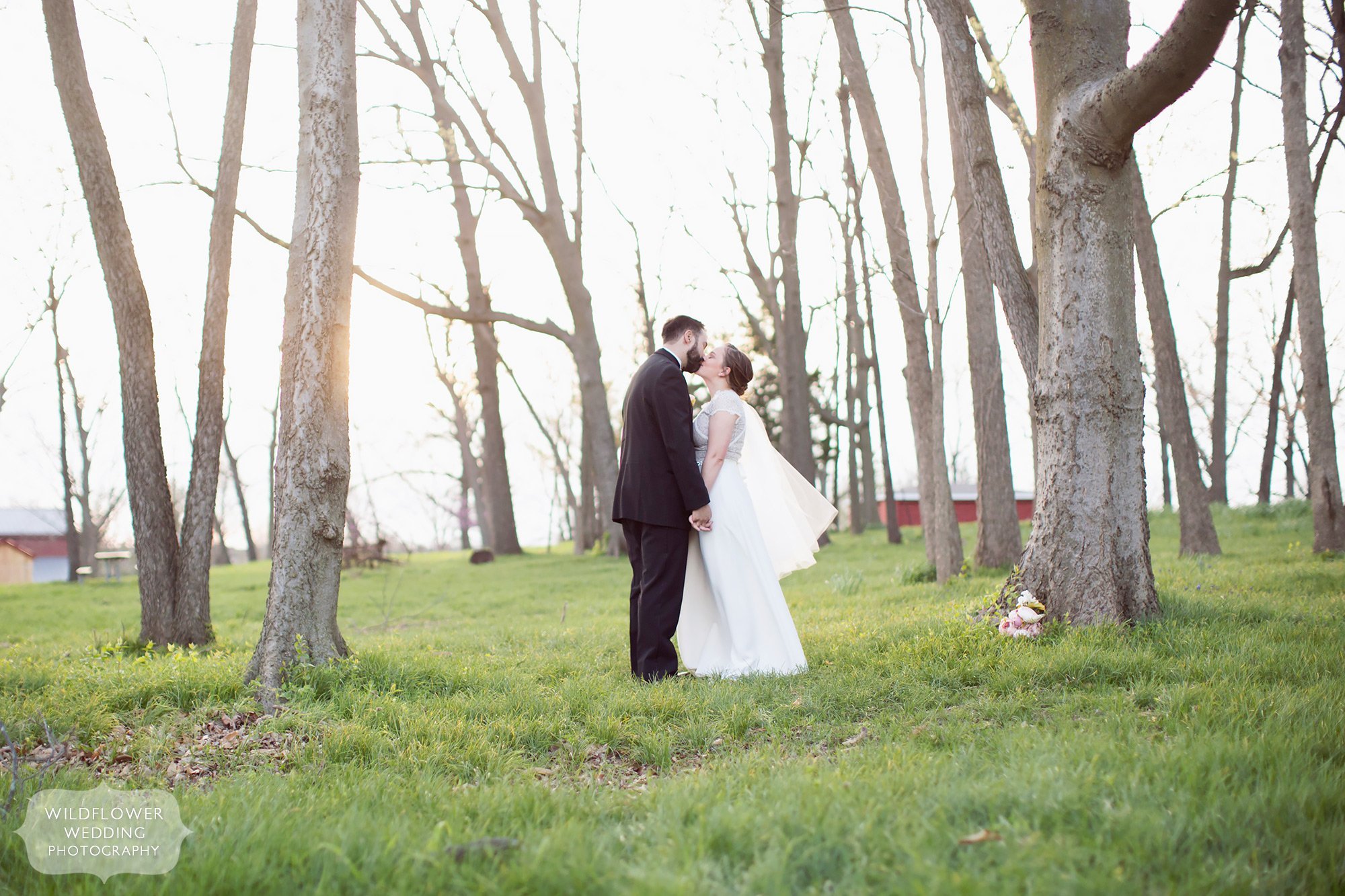 Elopement wedding photography of the bride and groom at Nifong Park in MO.
