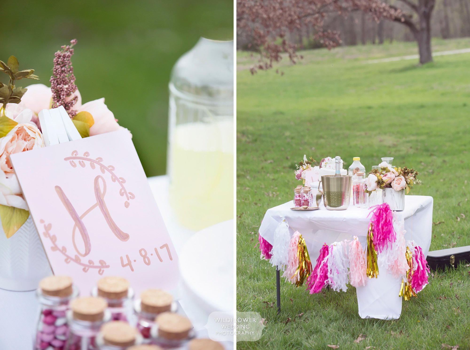 Simple party decor for an outdoor elopement wedding ceremony at Nifong Park.