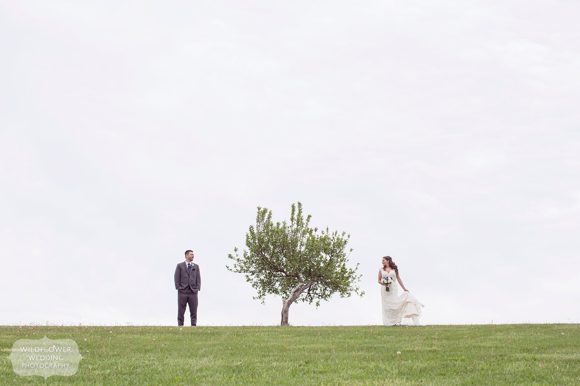 Artistic wedding photo of the bride and groom at this KC farm wedding on a hill with a single tree between them at the Weston Red Barn.