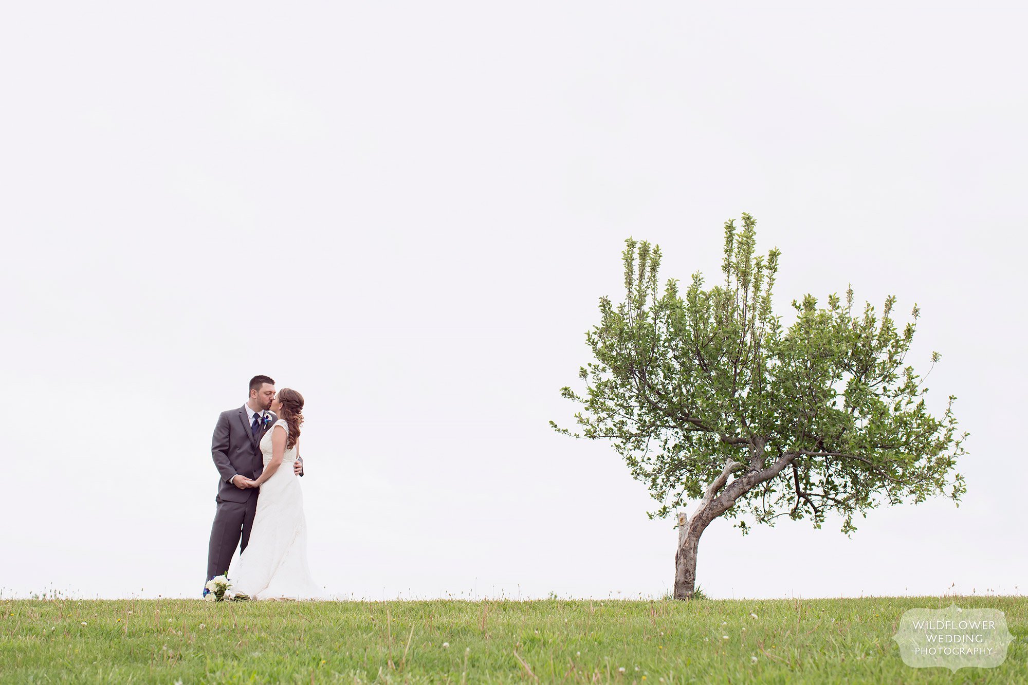 Artsy wedding photography of the couple up on a hill at the Weston Red Barn.