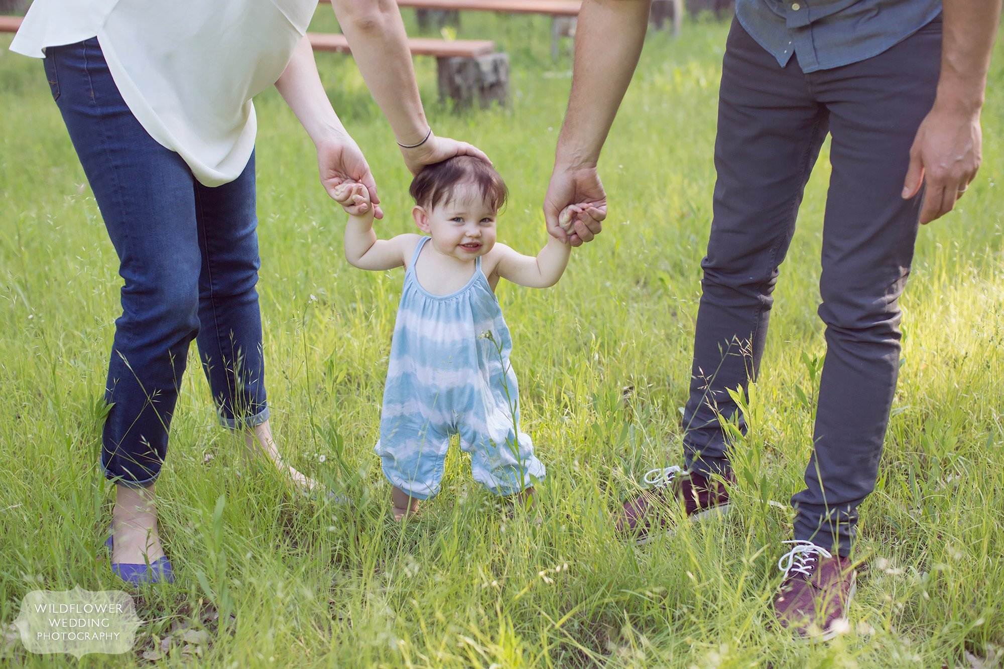 Sweet photo of an eight month old baby walking with help from mom and dad in a field.