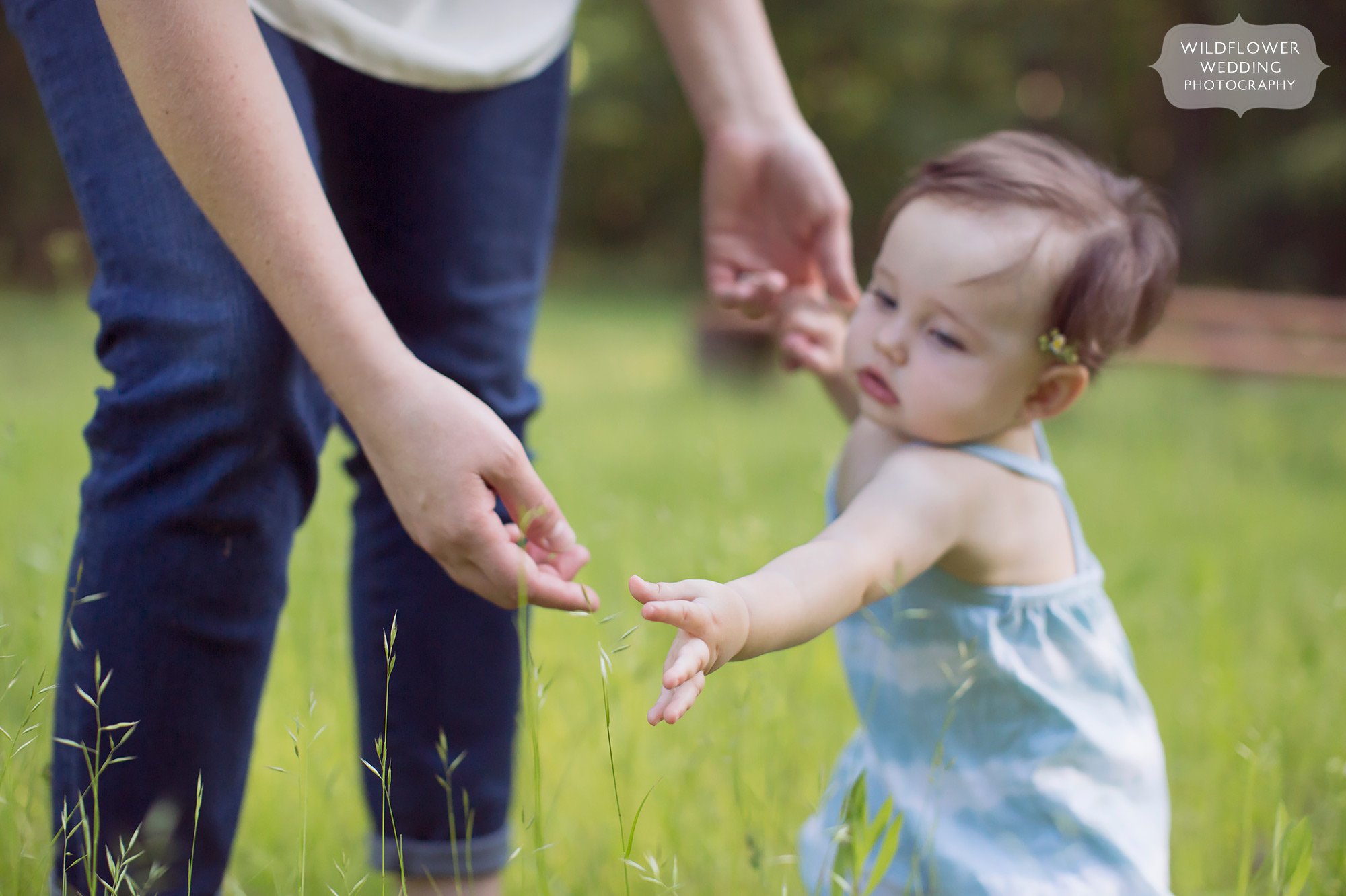 Photo of a baby reaching for a flower in a field in Columbia, MO.