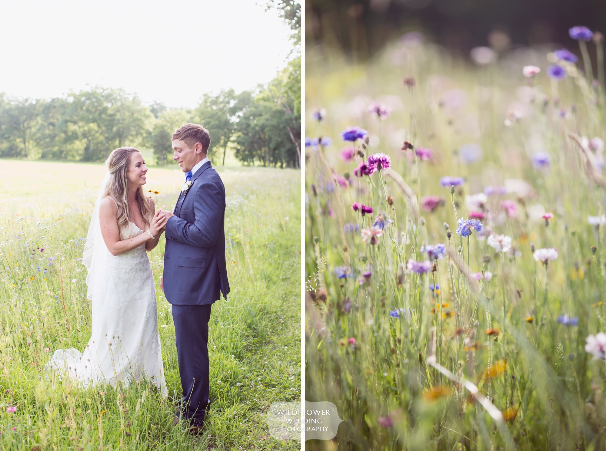 Loved these photos of the bride and groom standing in a field of wildflowers behind the barn at Kempker's in Westphalia.