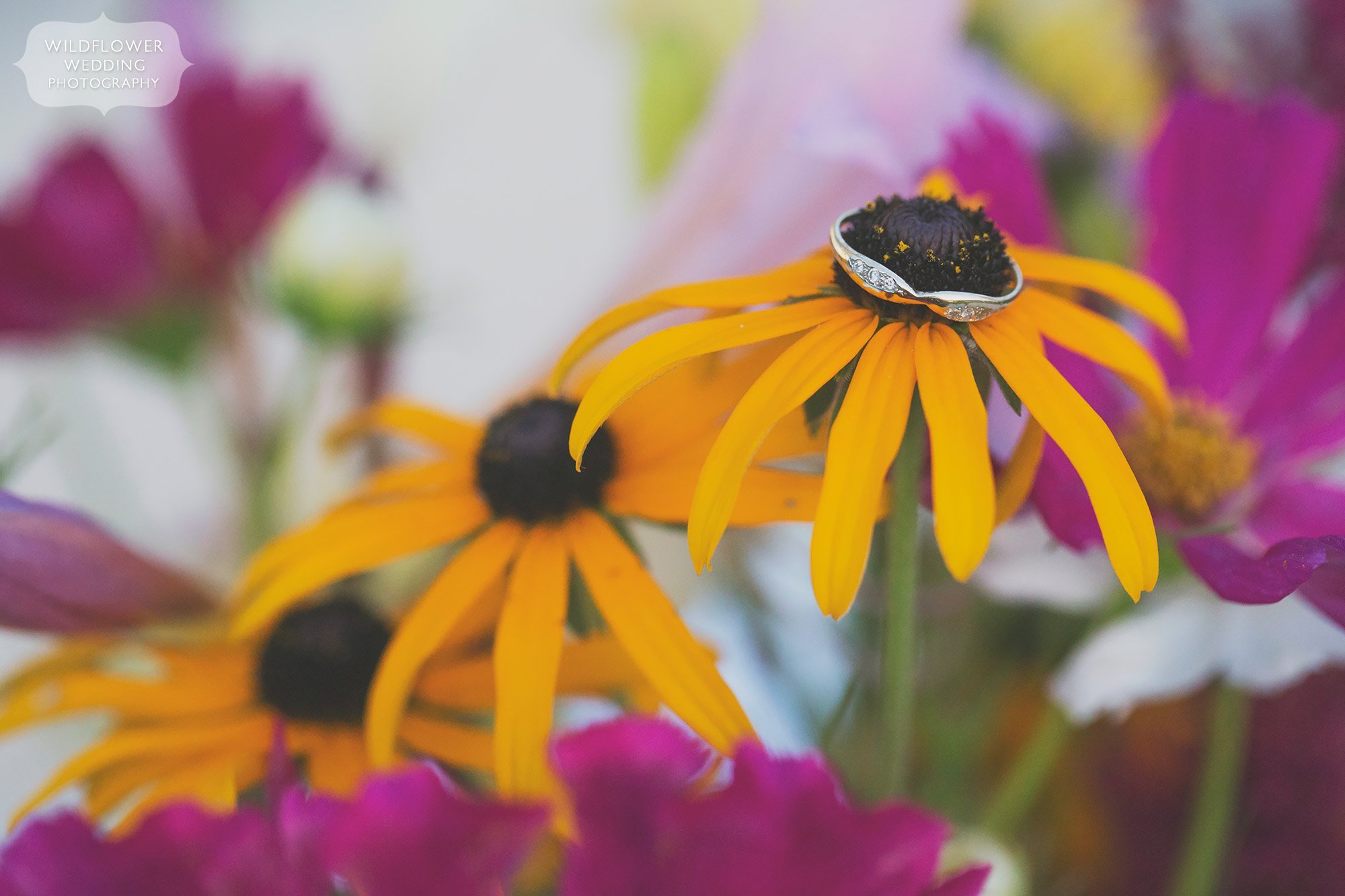 Photo of the engagement ring on a wildflower in downtown Rocheport, MO before the wedding at the local winery venue.