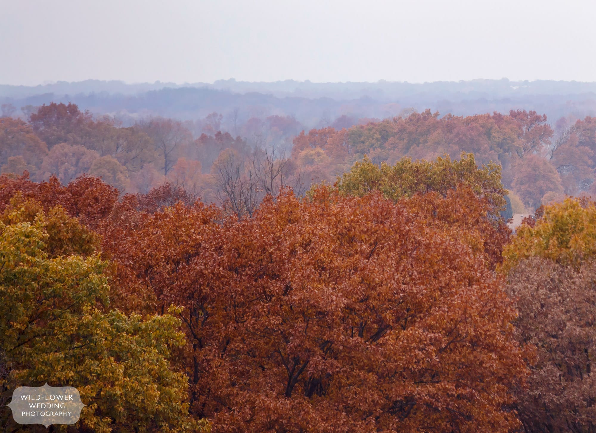 The Missouri River below is surrounded by red and blue fall colors in November in Rocheport, MO.