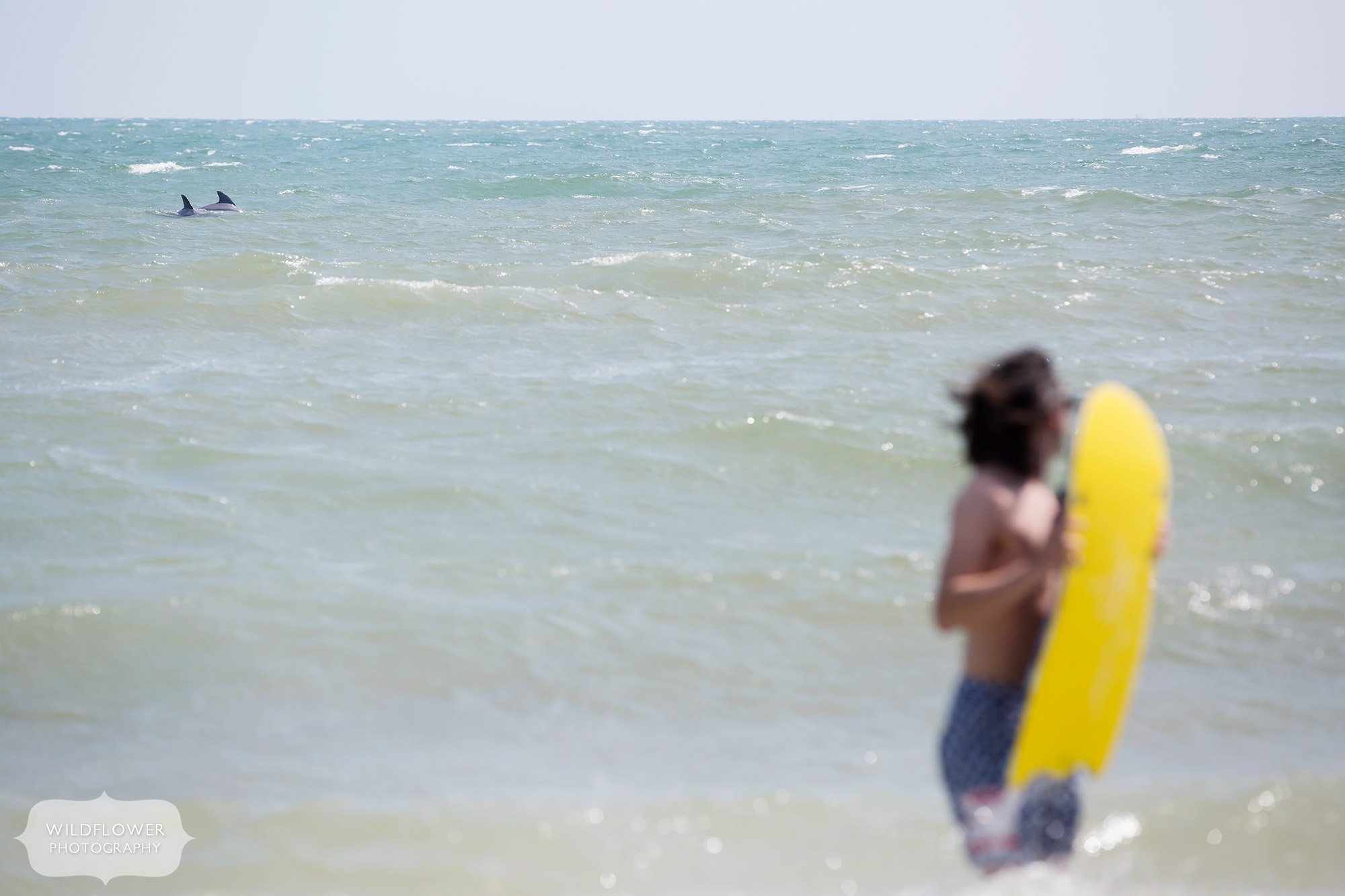 A man holds a boogie board on St. George Island while dolphins swim behind him.