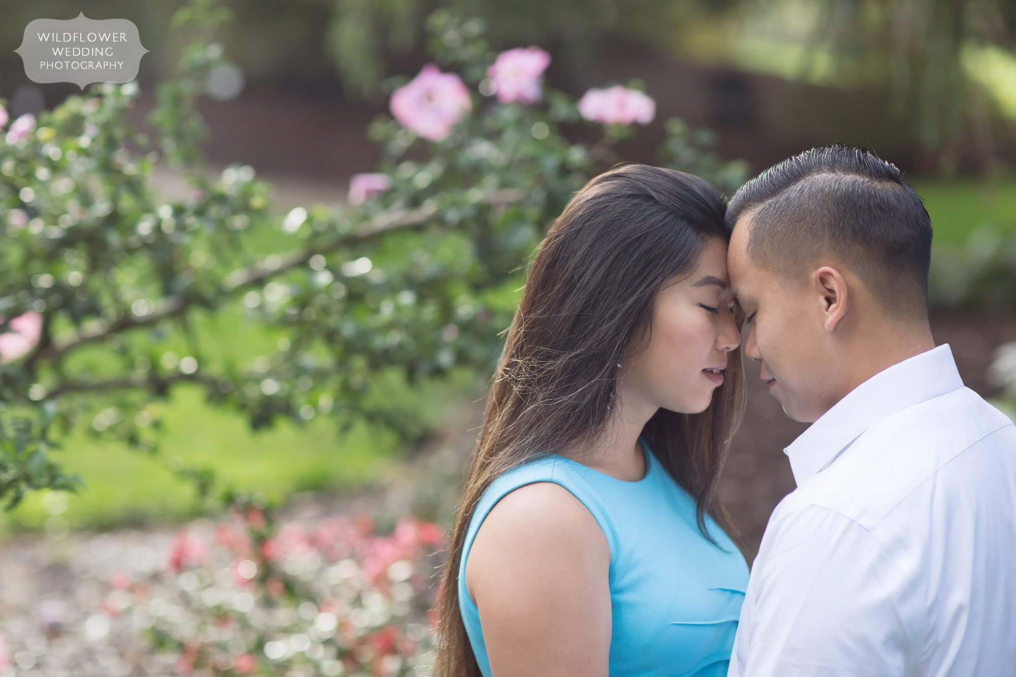 Beautiful engagement photos of this asian couple at Shelter Gardens.