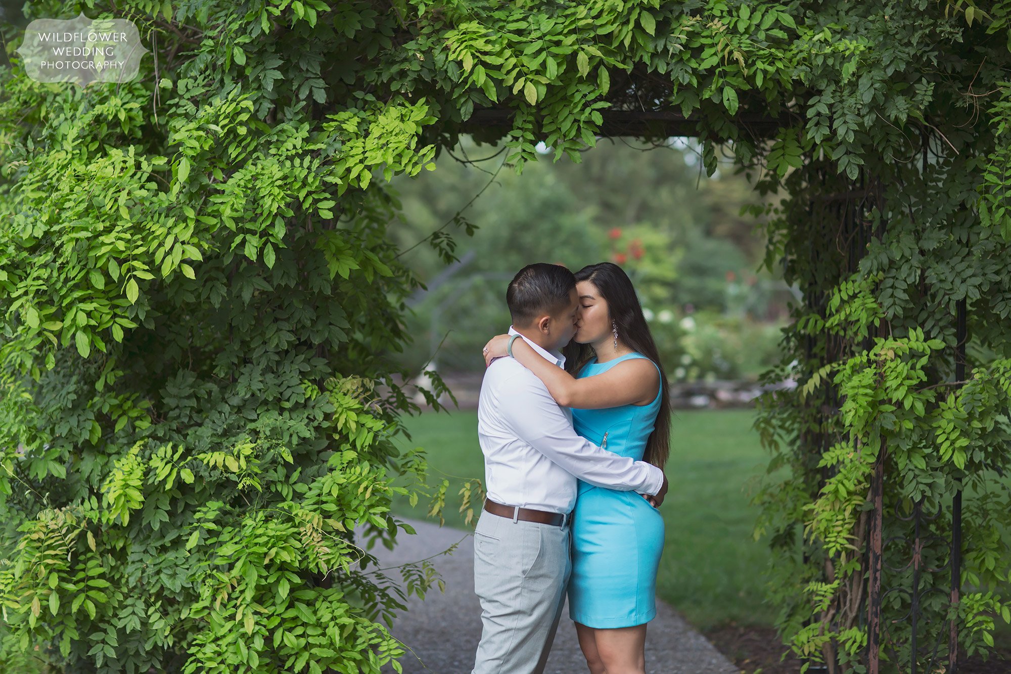 Couple kisses under an arbor of wisteria vines during their summer mini engagement session at Shelter Gardens.