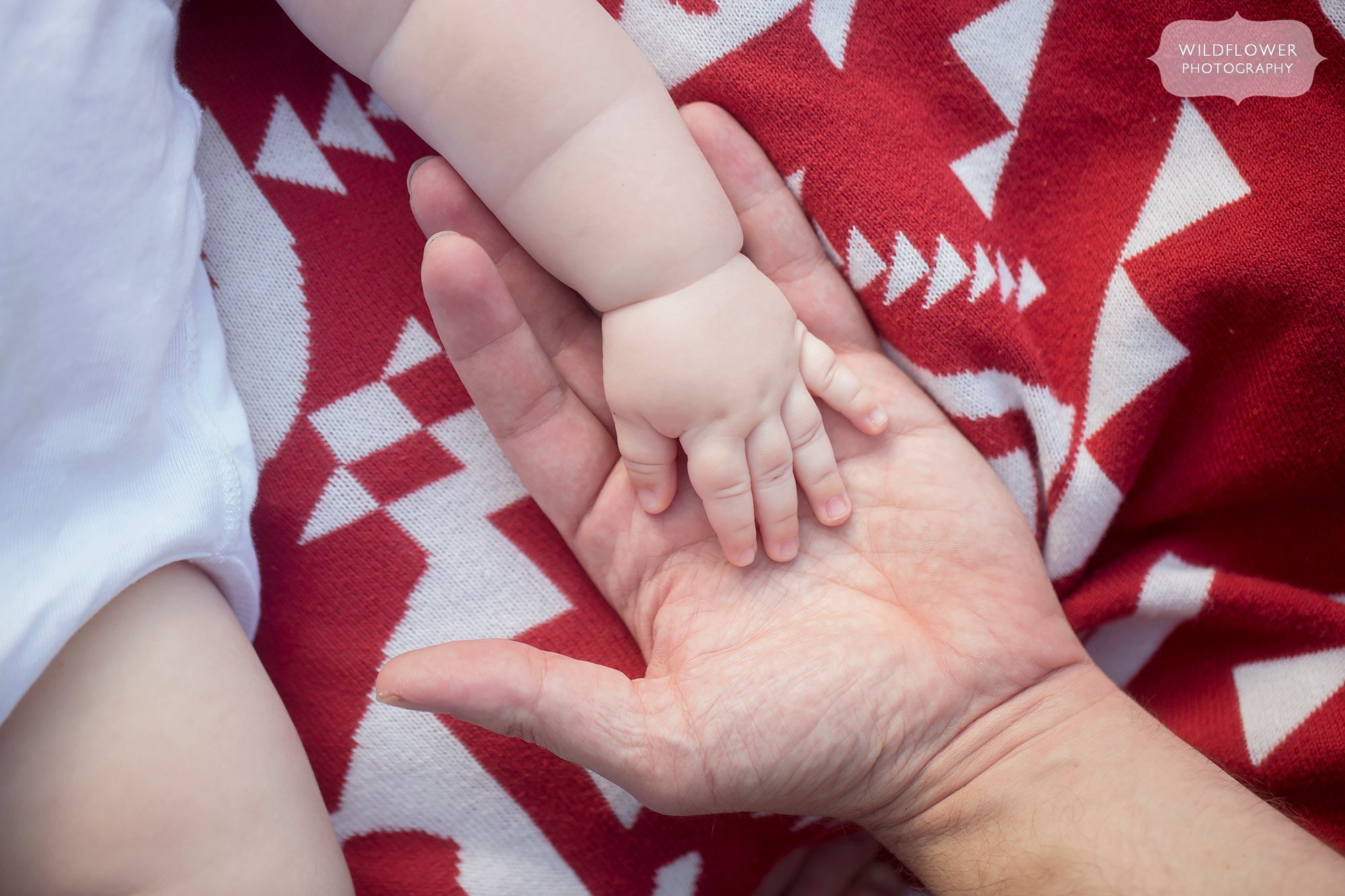 Baby's hand on Dad's hand for outdoor family photo session in Columbia.