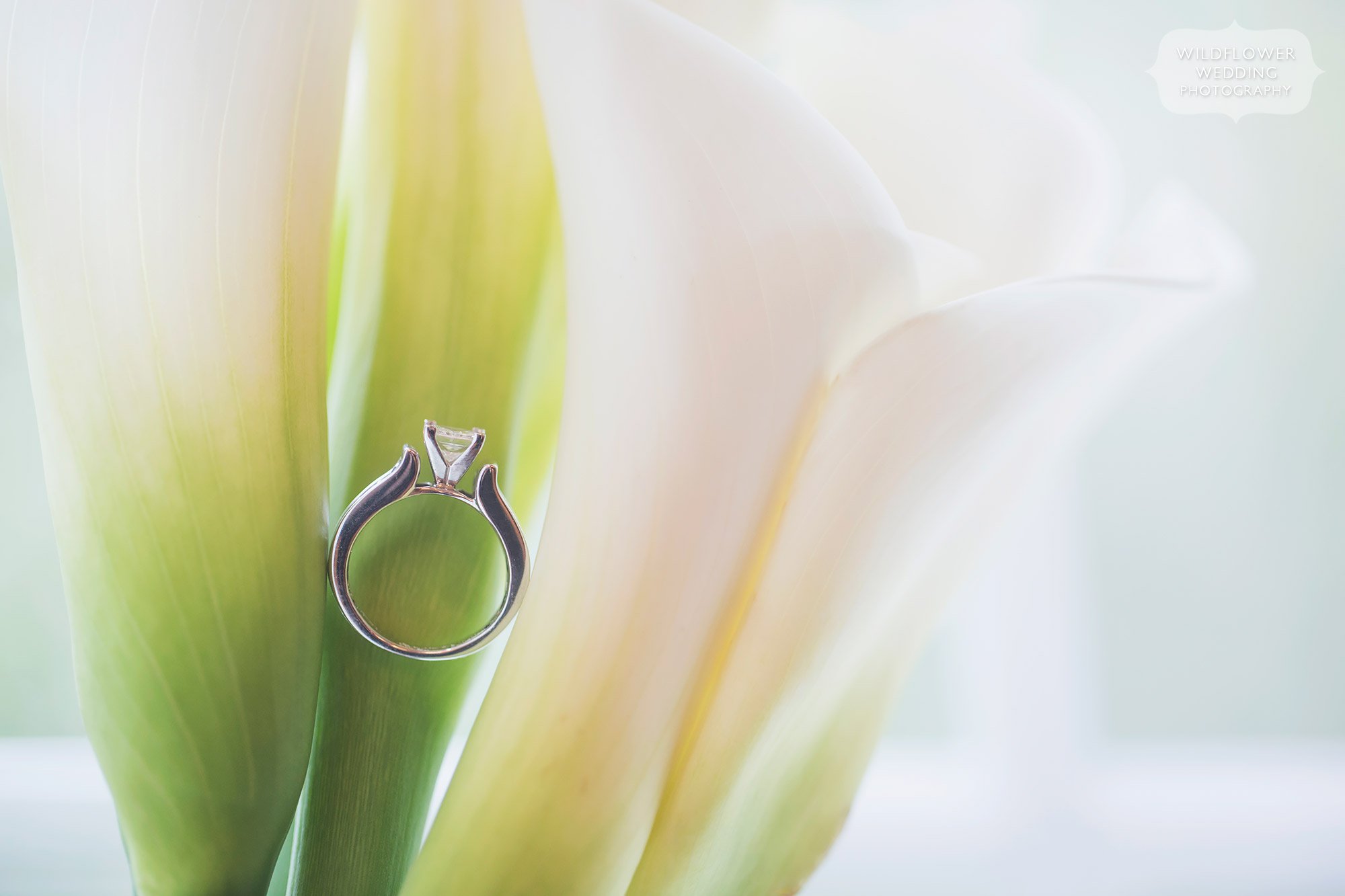 Artistic wedding photo of the bride's engagement ring between Calla Lilies at the Schwinn Barn.