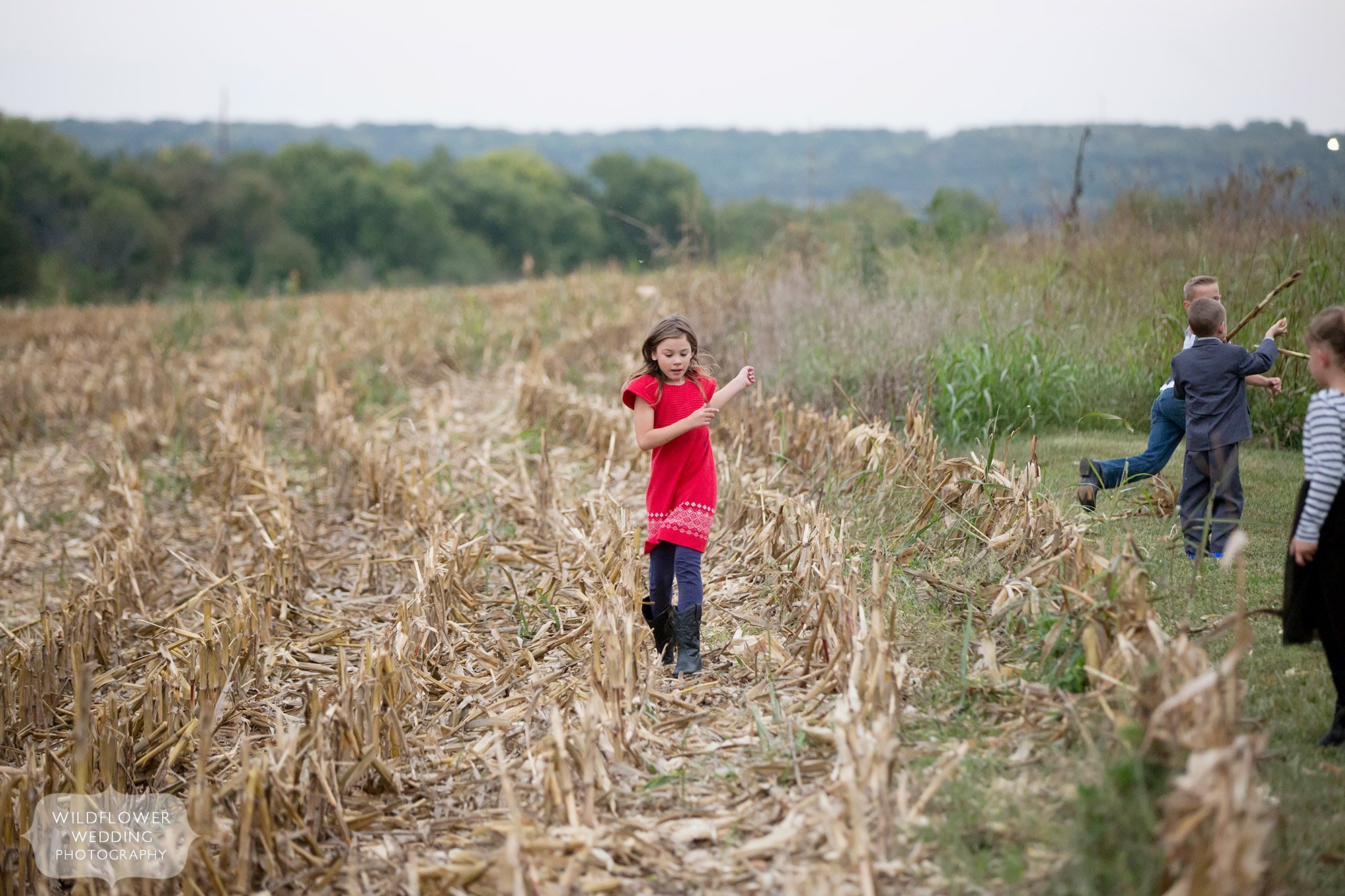 A girl in a red dress runs through the cornfield at Schwinn Produce Farm.