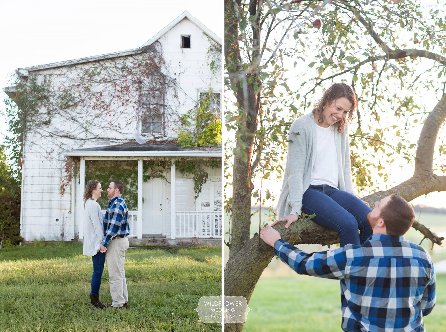 The couple climbed trees during this mid-MO country engagement photo session in Boonville.