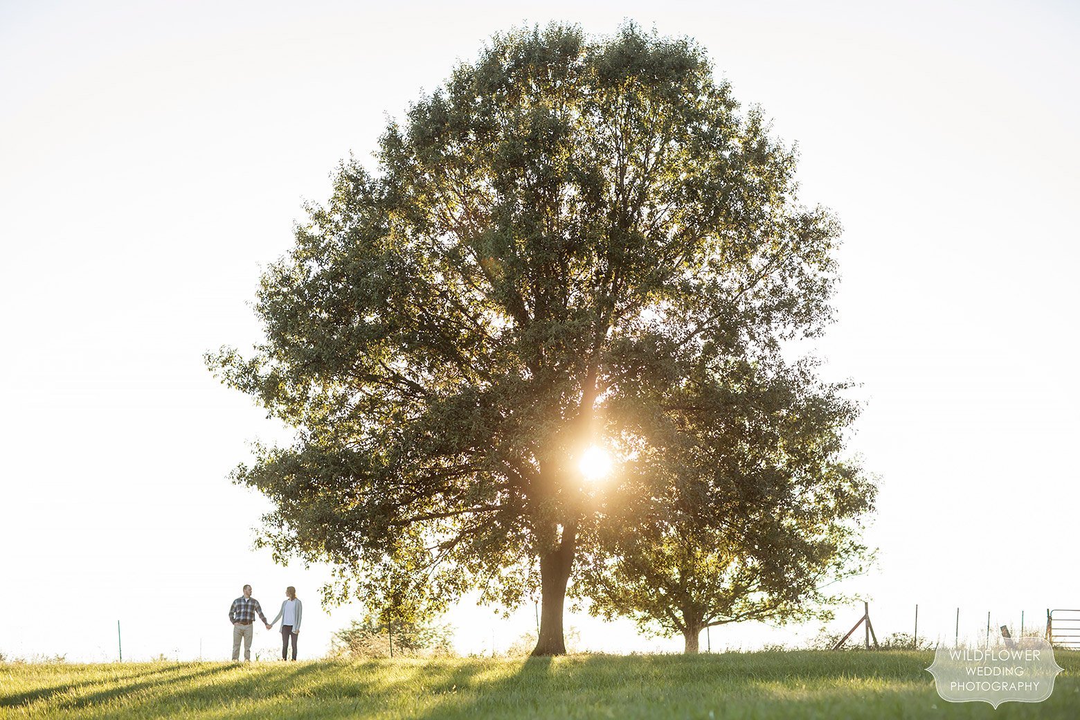 Scenic photo of the couple standing under a giant tree at sunset in Boonville, MO.