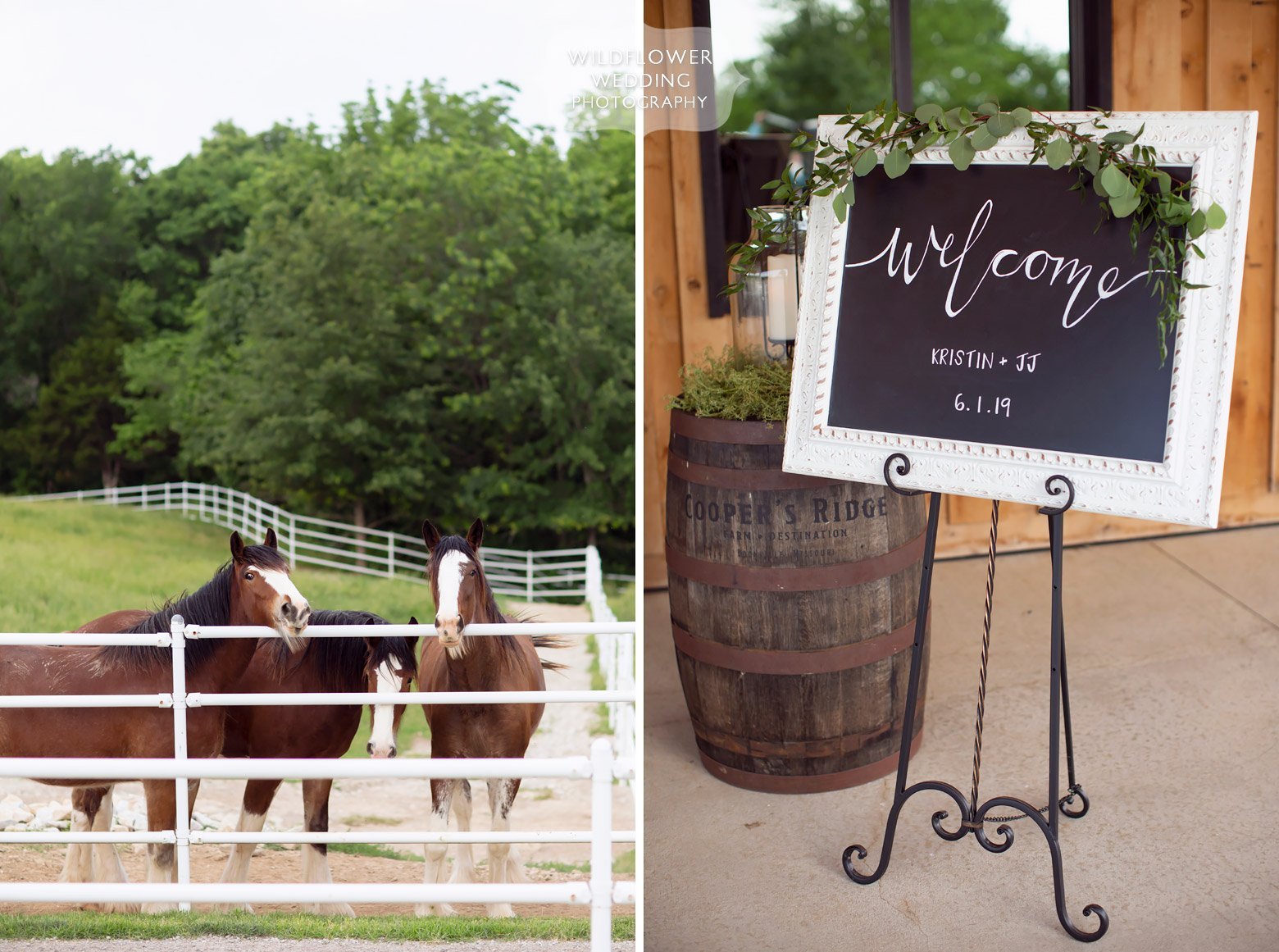 Cooper's Ridge wedding venue with horses in mid-MO.