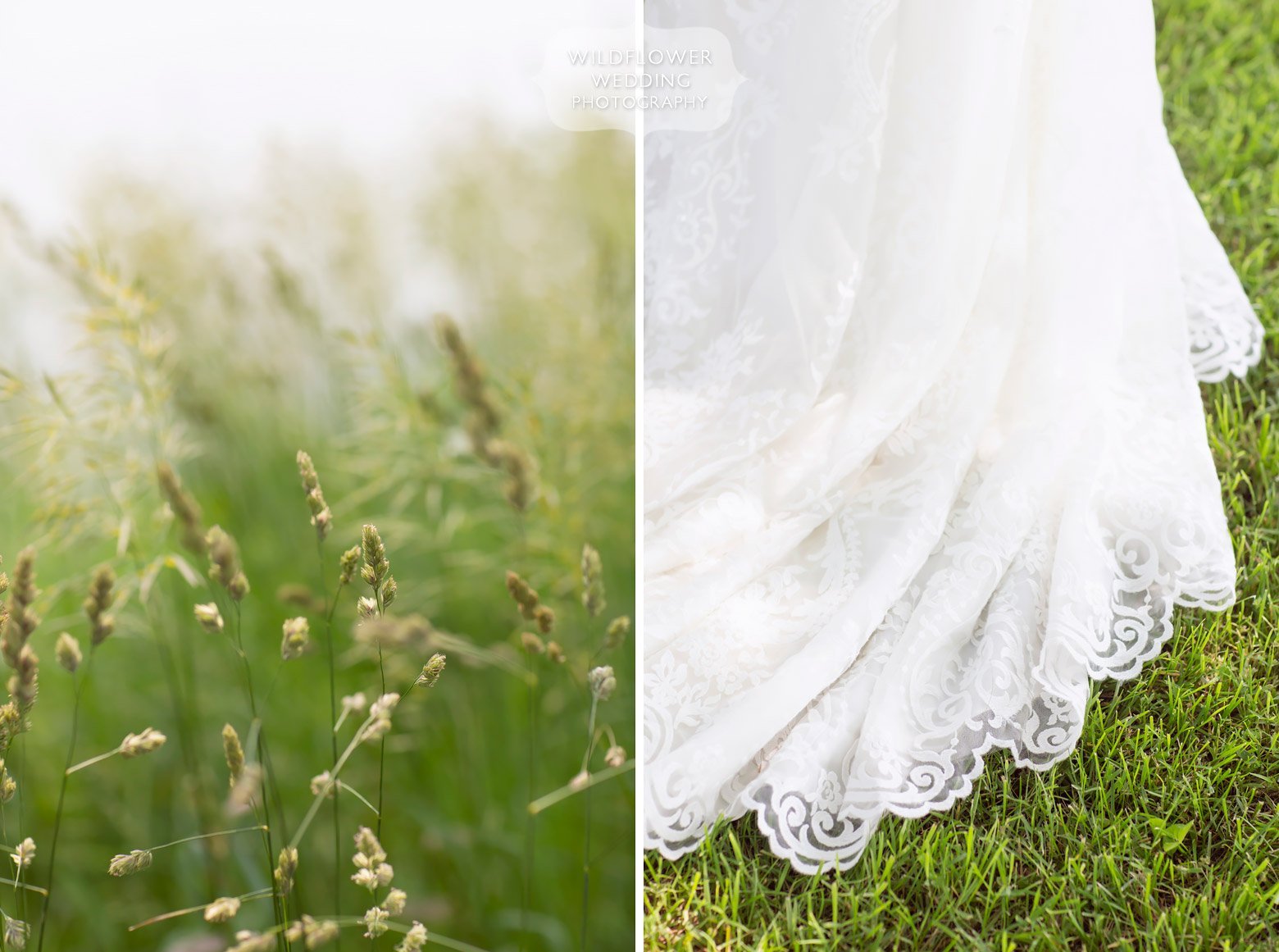 Nature wedding photos of bride's dress in grass.
