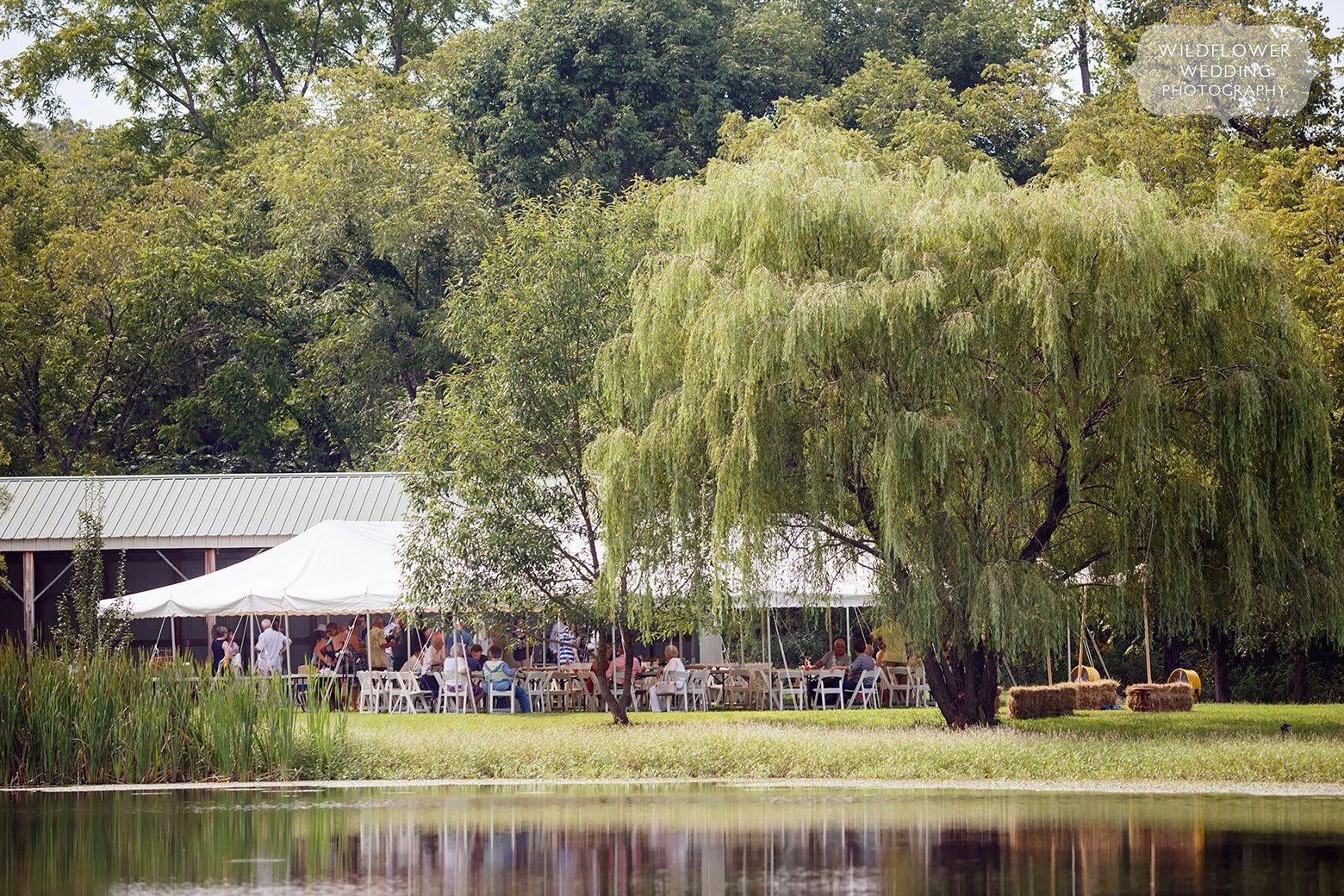 Backyard wedding on a pond in St. James, MO.