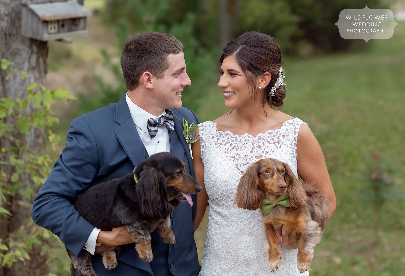 Bride and groom hold their dachshunds at this Jefferson City wedding.